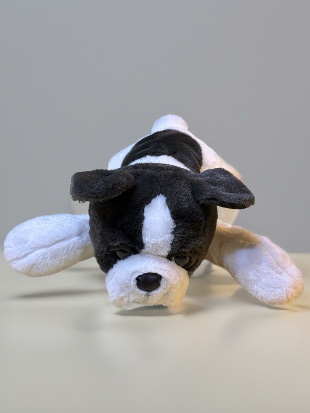 FAO Schwarz Black & White Boston Terrier Plush Dog Toy - Cuddly Puppy